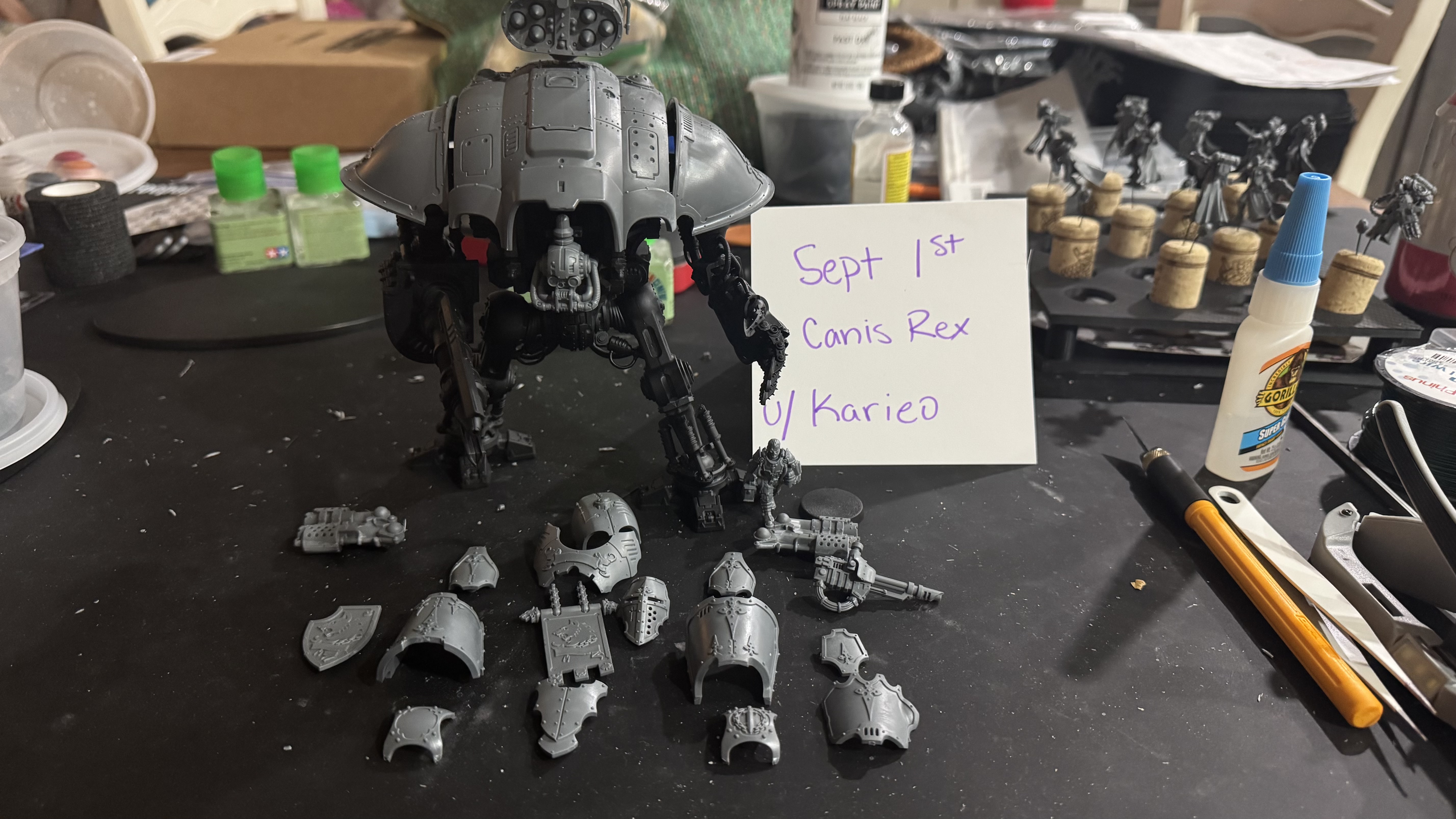 Imperial Knight Paladin — before